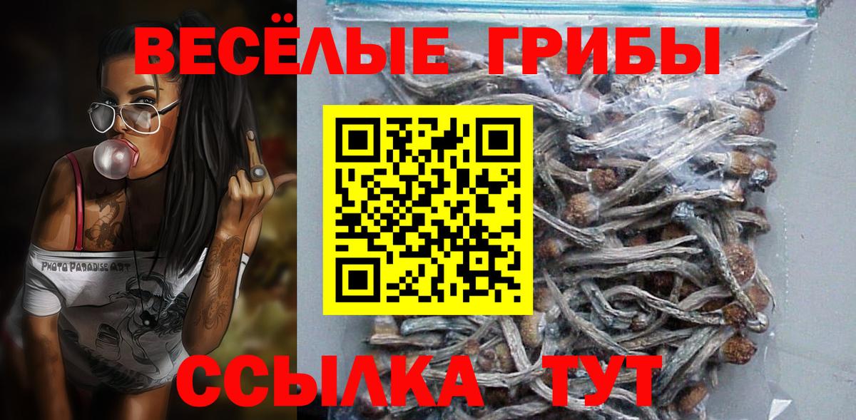 Галлюциногенные грибы ЛСД Чапаевск