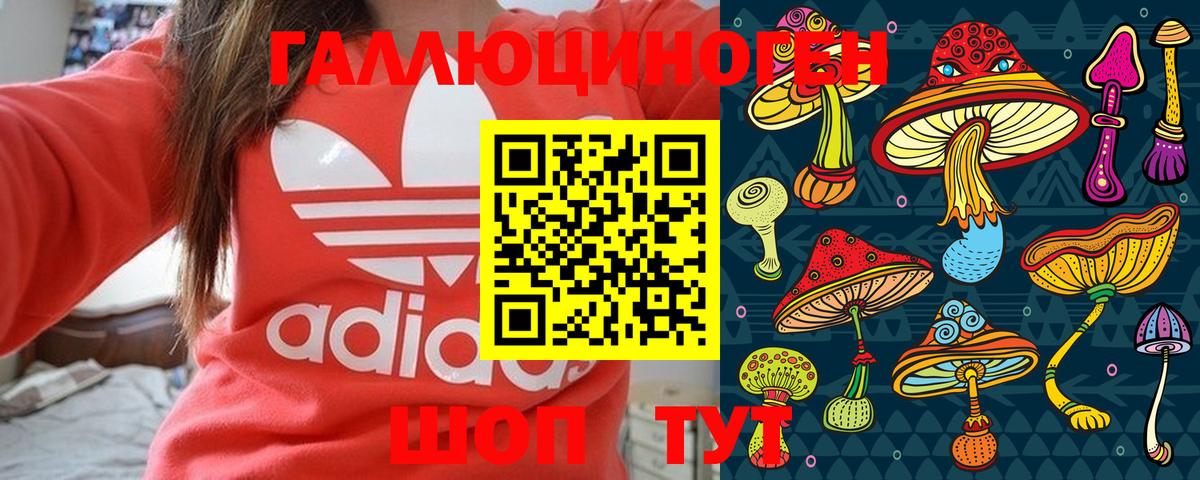 Чапаевск  Псилоцибиновые грибы MAGIC MUSHROOMS  Вход с VPN 